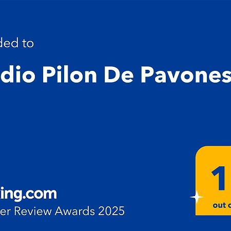 Studio Pilon De Pavones Pavones  Exterior photo