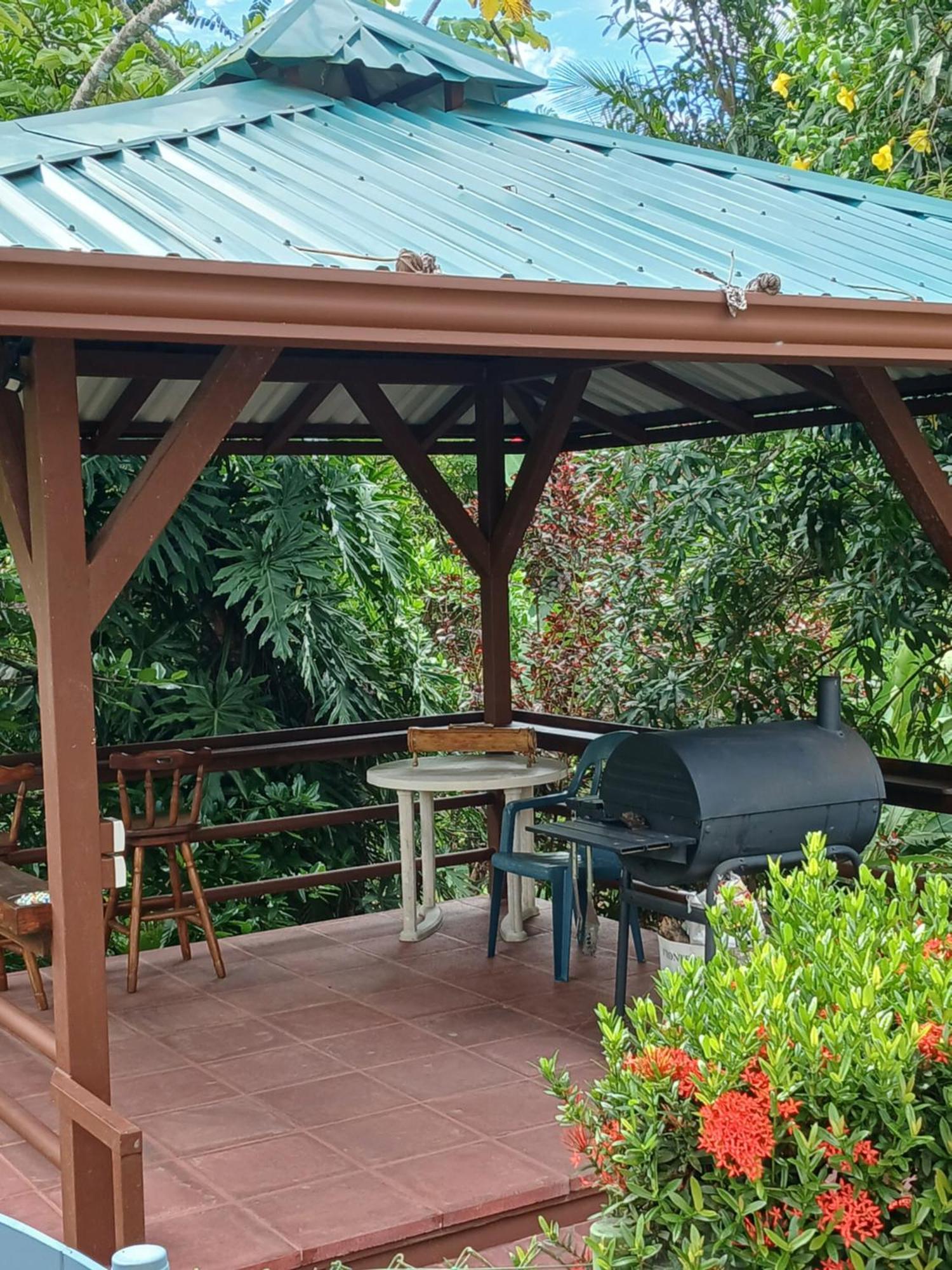 Studio Pilon De Pavones Pavones  Exterior photo