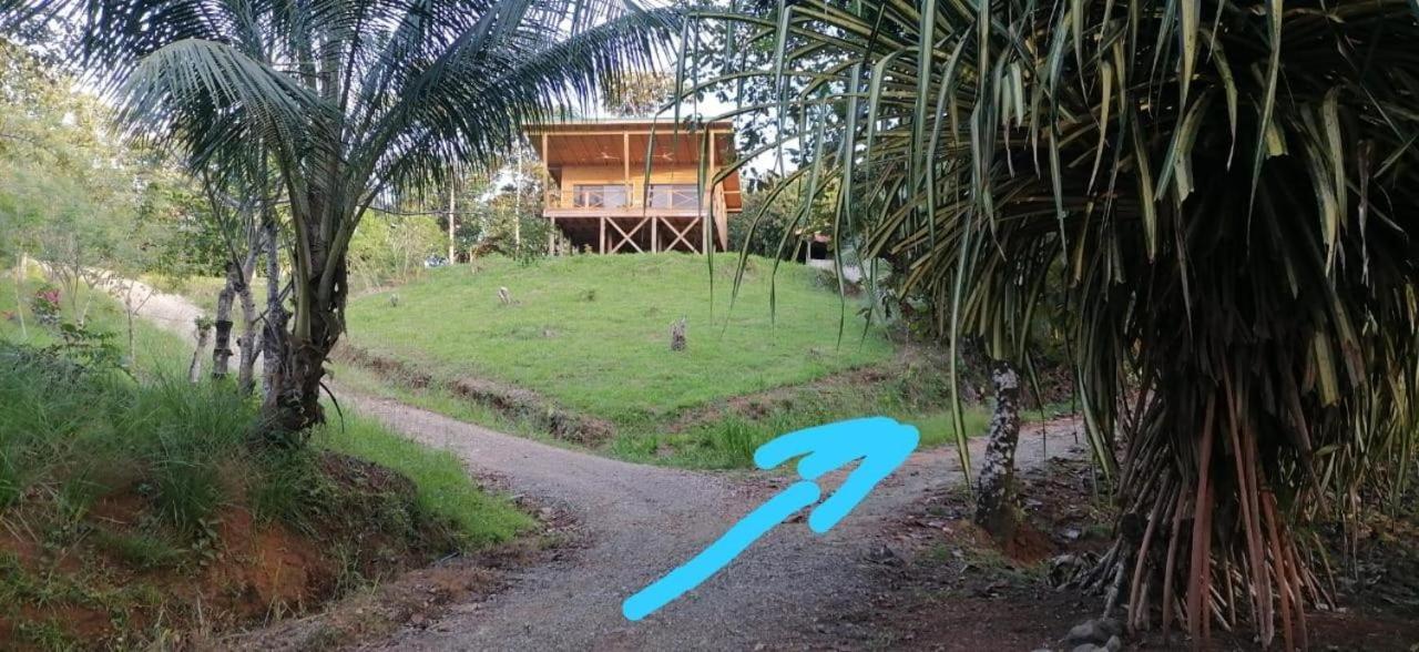 Studio Pilon De Pavones Pavones  Exterior photo