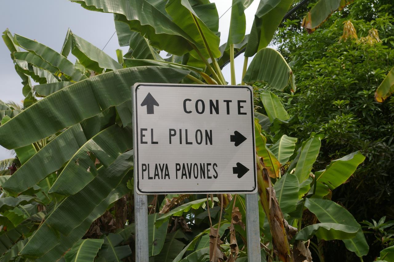 Studio Pilon De Pavones Pavones  Exterior photo